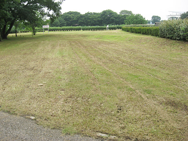 公共公園の植栽維持管理、施工後