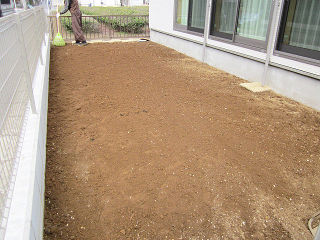 芝張りとシマトネリコ植栽 作業中