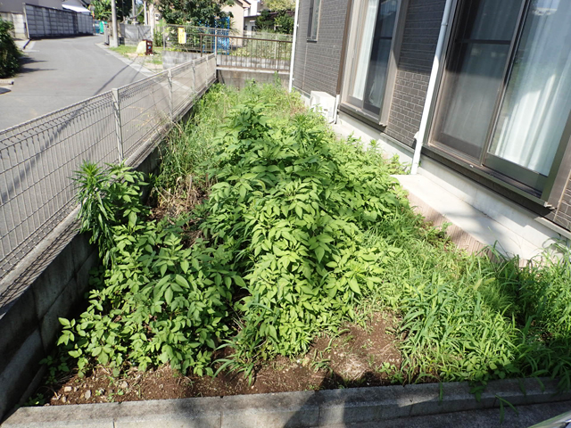 除草作業と砂利敷工事 施工前