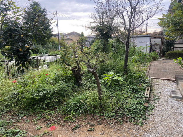 手入れが行き届かなくお庭として利用できない状態でした。 施工前