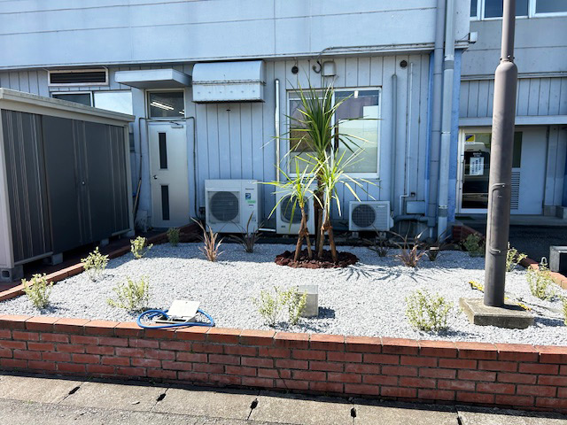 玄関周りの植栽リニューアル
