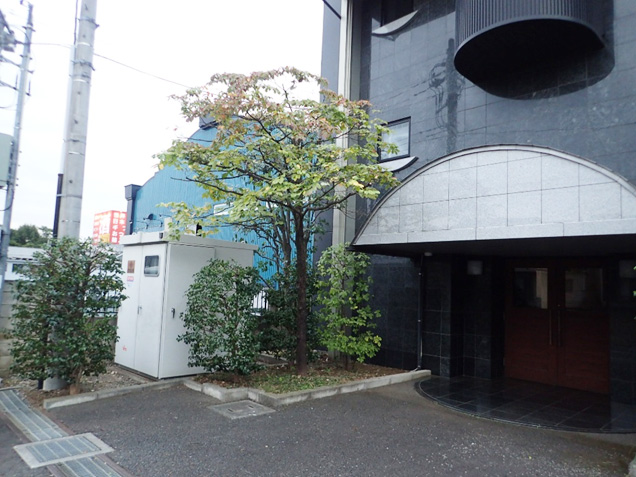 建物に掛かる樹木の手入れ
