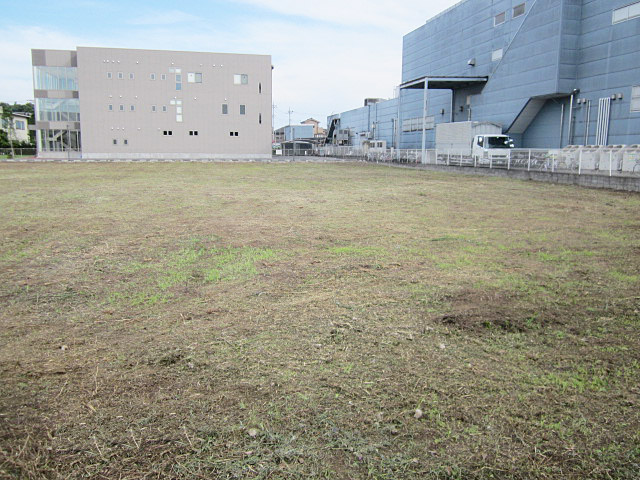 広く手付かずの空地の除草作業後