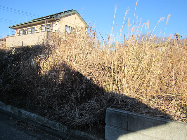 空き地の管理 雑草・草刈作業前