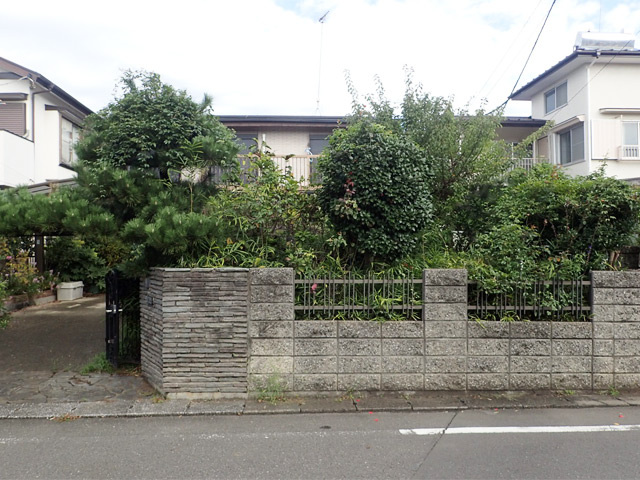 住宅空き家の除草と剪定、作業前