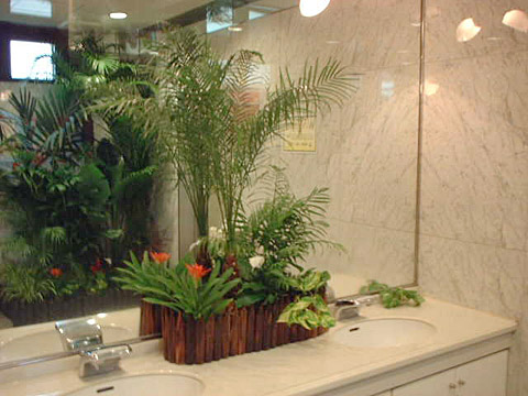 トイレスペース、洗面所の植物装飾