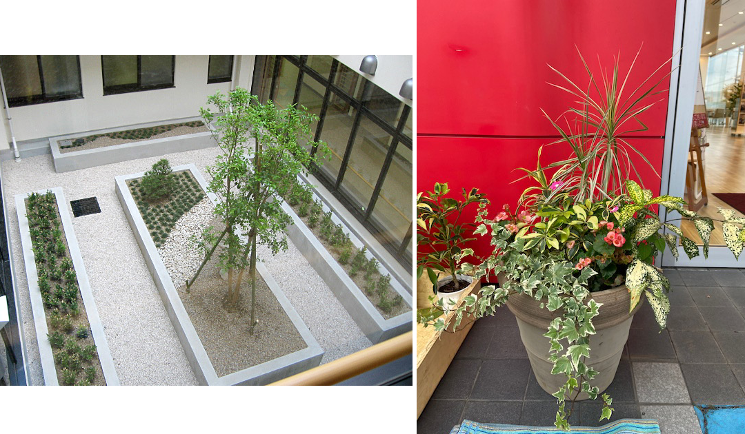 観葉植物レンタル 造園事業-埼玉県の新狭山ガーデン
